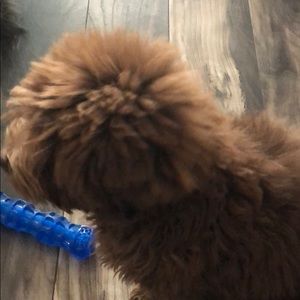 Meet your Posher, Grant